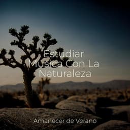 Estudiar Música Con La Naturaleza - Sonidos De Truenos y Lluvia