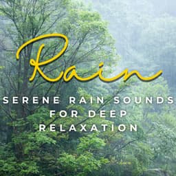 Serenading Raindrops: Serene Rain Sounds for Deep Relaxation - Rain Sounds & Nature Sounds