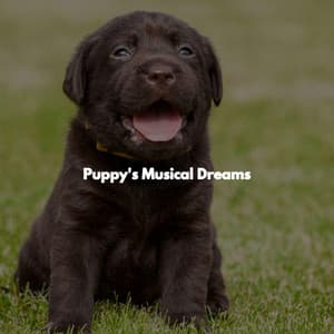 Puppy's Musical Dreams - Instrumental Chill Jazz
