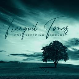 Tranquil Tones for Sleeping Soundly - Robin Gardner