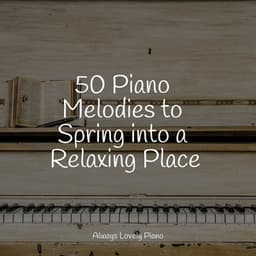 50 Piano Melodies to Spring into a Relaxing Place - Exam Study Classical Music