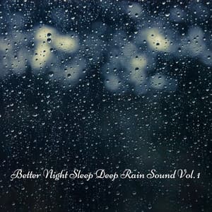 Better Night Sleep Deep Rain Sound Vol. 1 - Music for Sleeping Ensemble