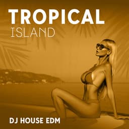 Tropical Island: Summer Vibes Deep House Mix - DJ House EDM