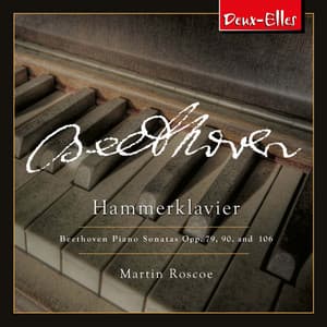 Beethoven Piano Sonatas, Vol. 9 - Hammerklavier - Ludwig van Beethoven