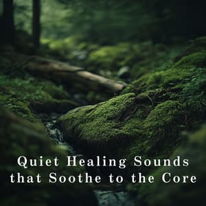Quiet Healing Sounds that Soothe to the Core - Relaxing BGM Project