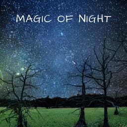 Magic of Night - Masala Roo