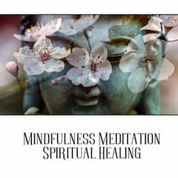 Mindfulness Meditation Spiritual Healing - Dr. Meditation