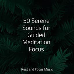 50 Serene Sounds for Guided Meditation Focus - Deep Focus