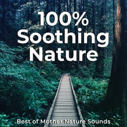 100% Soothing Nature - Best of Mother Nature Sounds