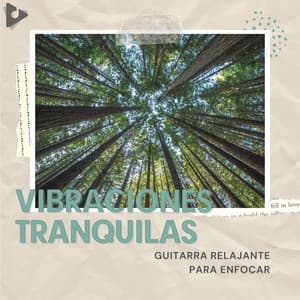 Guitarra Relajante Para Enfocar - Vibraciones Tranquilas