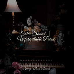 Calm Sounds | Unforgettable Piano - Ivory Mood
