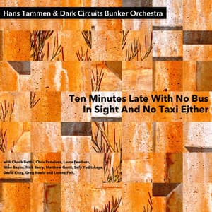 Ten Minutes Late with No Bus in Sight and No Taxi Either - Hans Tammen