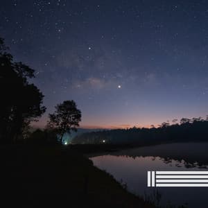 Cricket Sounds HQ - Night Sounds