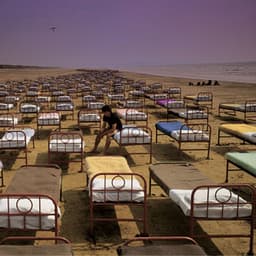 A Momentary Lapse Of Reason