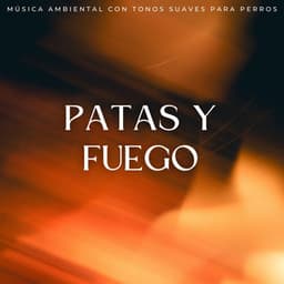 Patas Y Fuego: Música Ambiental Con Tonos Suaves Para Perros - Sonidos de fuego de resplandor brillante