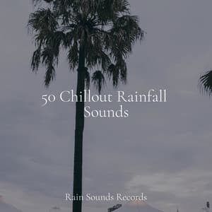50 Chillout Rainfall Sounds - Meditation Rain Sounds