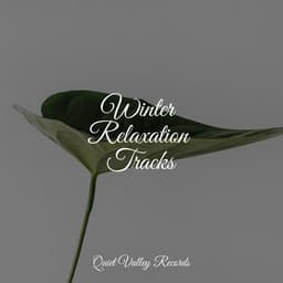 Winter Relaxation Tracks - Baby Sleep Music