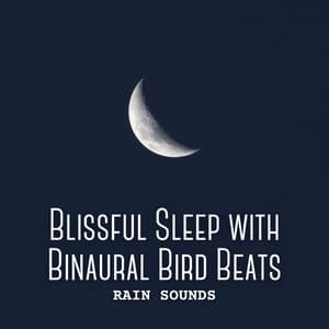 Rain Sounds: Blissful Sleep with Binaural Bird Beats - Rain Games