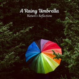 A Rainy Umbrella: Nature's Reflections - The Rain Library