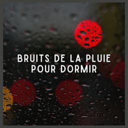 Bruits de la Pluie pour Dormir - Sons De Pluie