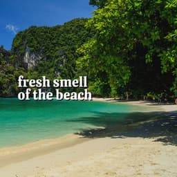Fresh Smell of the Beach - Dreamstatician