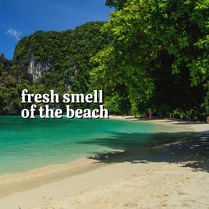 Fresh Smell of the Beach - Dreamstatician