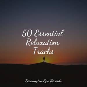 50 Essential Relaxation Tracks - Heavy Rain Sounds