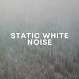 Static White Noise - The White Noise