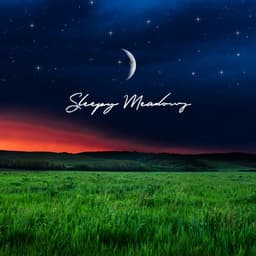 Sleepy Meadows - Deep Sleep Meditation Music, Relaxing & Healing Spa Lullabies by Nature Sounds - Slumber Music Zone