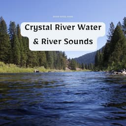 Crystal River Water & River Sounds - River Noise ASMR