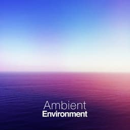 Ambient Environment - Ambient