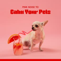 Pink Noise to Calm Your Pets: Alleviate Stress & Help Anxiety in Animals - Pink Noise!