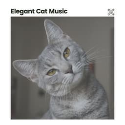Elegant Cat Music - Music for Cats Peace