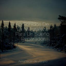 50 Sonidos De La Naturaleza Para Un Sueño Reparador - Nature Sounds Nature Music