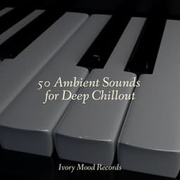 50 Ambient Sounds for Deep Chillout - Rising Higher Meditation