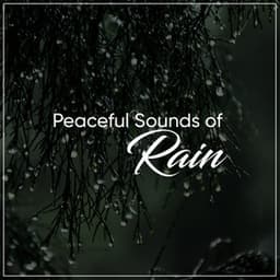 15 Soothing Sounds of Rolling Thunder, Distant Rain and Lightning - Sounds Of Rain & Thunder Storms