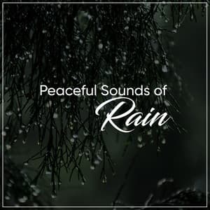 15 Soothing Sounds of Rolling Thunder, Distant Rain and Lightning - Sounds Of Rain & Thunder Storms