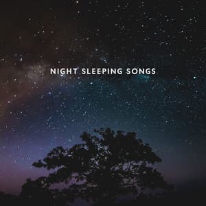 Night Sleeping Songs – Calming Instrumental Melodies for Good Night - Deep Sleep Maestro