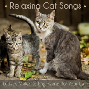 Relaxing Cat Songs: Lullaby Melodies Engineered for Your Cat - Cat Music Dreams