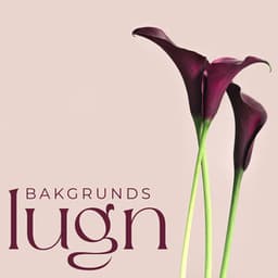 Bakgrunds lugn: Avkopplande spamusik, Lugnande massage, Harmoni för kropp och själ - Lugn Spa Akademi