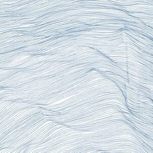 Two Centuries - Qasim Naqvi