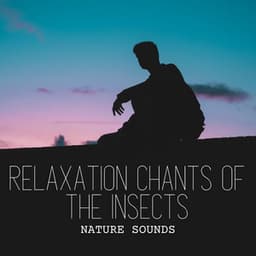 Nature Sounds: Relaxation Chants of the Insects - Cricket Sounds