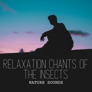 Nature Sounds: Relaxation Chants of the Insects - Cricket Sounds