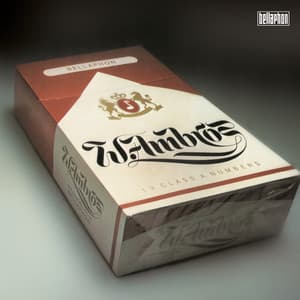 19 Class a Numbers - Wolfgang Ambros