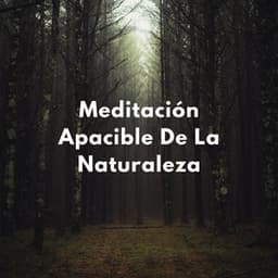 Atención Plena En La Montaña: Meditación Apacible De La Naturaleza - La naturaleza llama