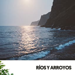 Ríos y Arroyos: El poder sanador del río - Relajacion