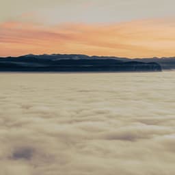 1 Night With White Noise: The Sleep Session - White Noise