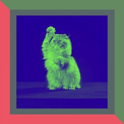 Festive Background for Relaxing Pet Sounds - Calming Cat Music