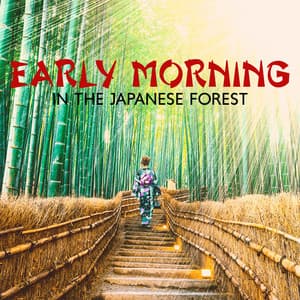 Early Morning in the Japanese Forest: Oriental Ballads for Relaxation & Sleep - Mysterious World Music