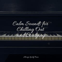 50 Tracks to Relax Your Mind - Piano Therapy